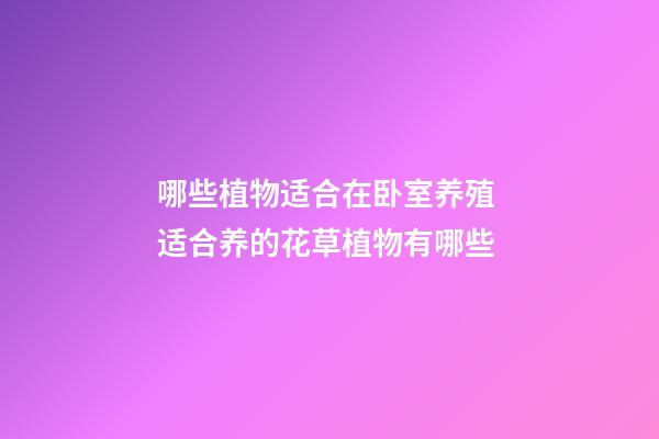 哪些植物适合在卧室养殖 适合养的花草植物有哪些